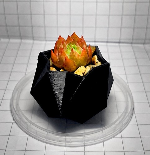 Small plastic pot great for - small,