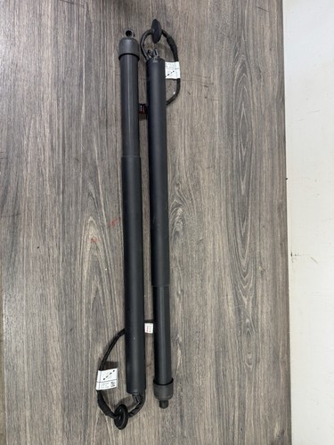 L462 discovery pair - l462,