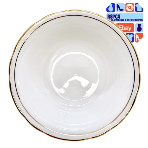 Duchess ascot white fine - white, bone