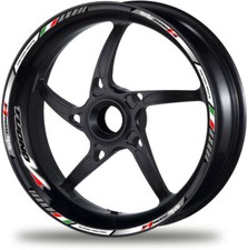 Aprilia Stripes Tuono Factory