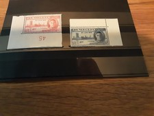 St Vincent 1946 SG 160-61 GVI Victory set 2 (Omnibus) MNH