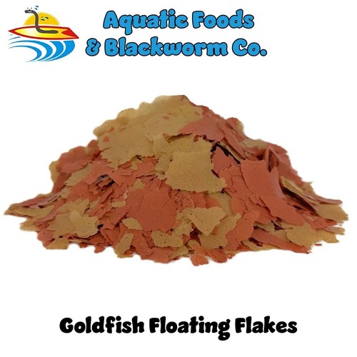 Goldfish koi pond fish - goldfish,, &