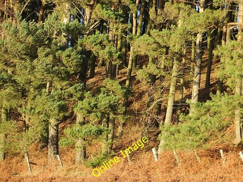 Photo 6x4 slainsfield - 6x4,