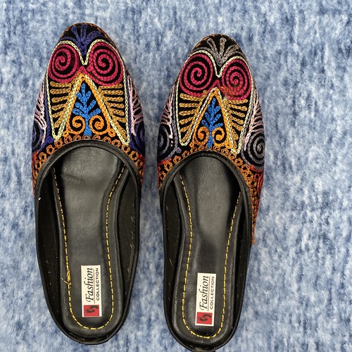 Rajasthani ethnic embroidered - rajasthani,