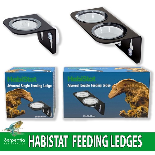 Habistat arboreal gecko - arboreal,
