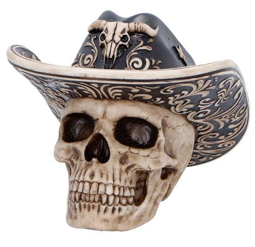 Wild west cowboy western - west,
