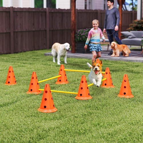 Pawhut dog agility equipment - dog,