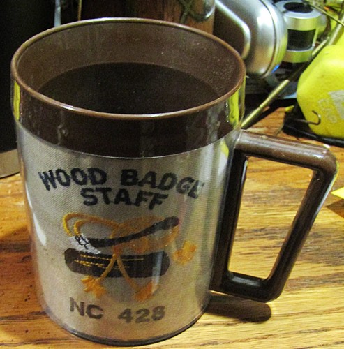 Boy scouts america wood - boy,