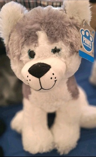 Paws collection husky dog - collection,
