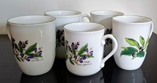 Royal Worcester Herbs Mug Set
