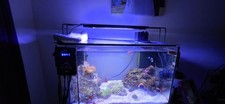 Fluval Sea EVO