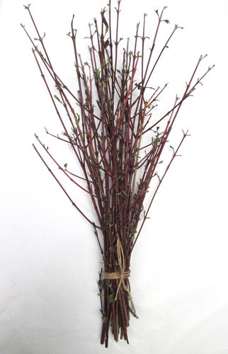 Natural bunch native - natural,