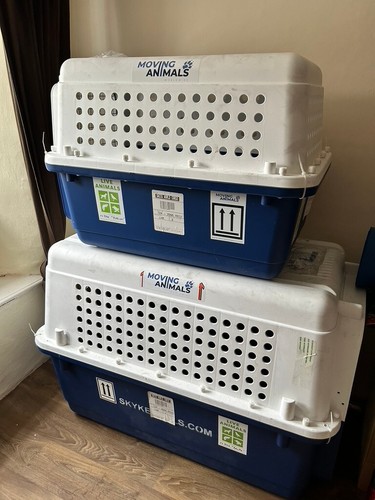 Pp70 airline approved dog - pp70,