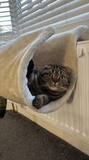 Cat Radiator Bed Hammock