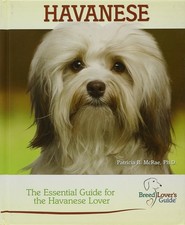 Havanese