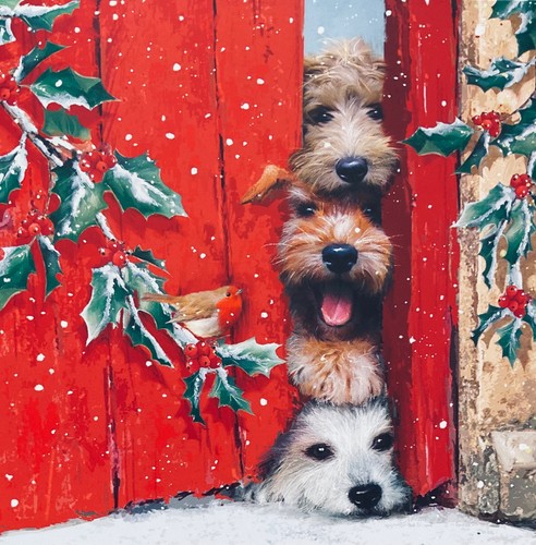 Charity christmas card no - charity,