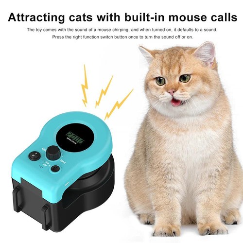 Interactive cat toy wheel - interactive,
