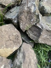 Large garden pond rocks - garden/pond,