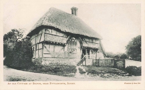 Vintage sussex postcard - sussex,