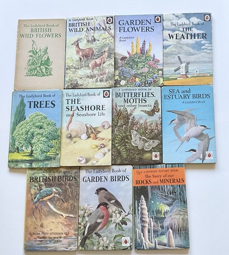 Vintage ladybird books - 11,