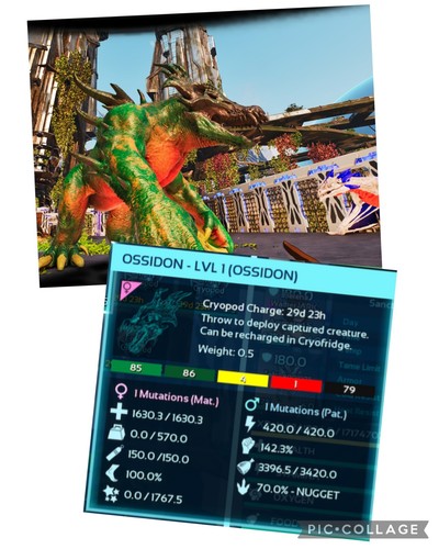 Ark survival pve official - ark,