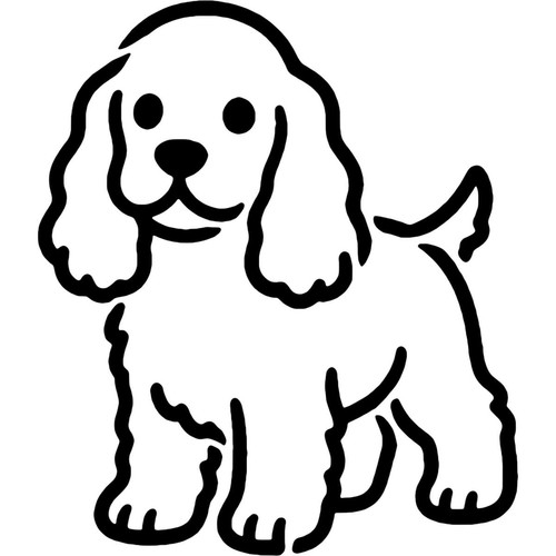Puppy cocker spaniel - 'puppy,