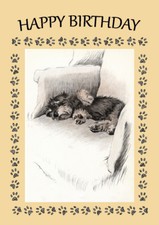 DANDIE DINMONT TERRIER DOG ON