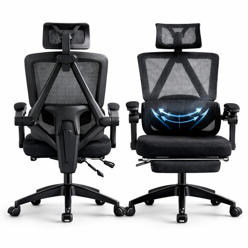 Executive ergonomic office - executive,