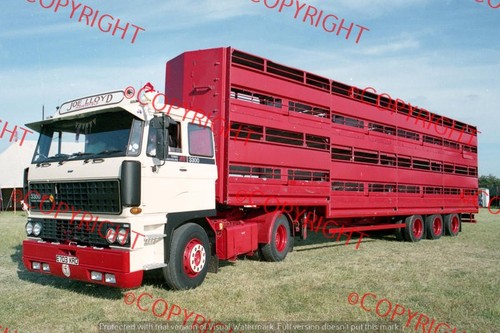 Truck photo joe - photo,