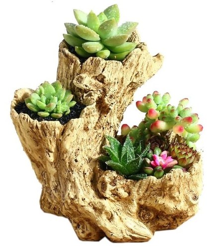 Yanmilia rustic driftwood - yanmilia,
