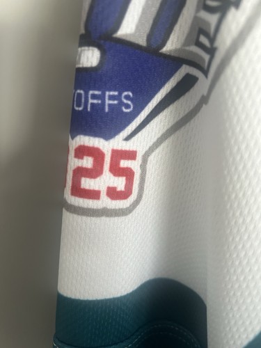 Belfast giants playoff - playoff, shirt