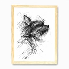 Yorkshire Terrier Dog Charcoal