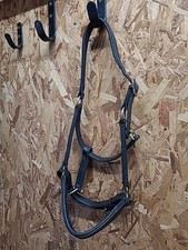  Leather  Headcollar, Cob