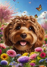 Cockapoo Chocolate Spring