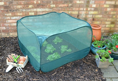 Pop net fruit cage without - pop-up,