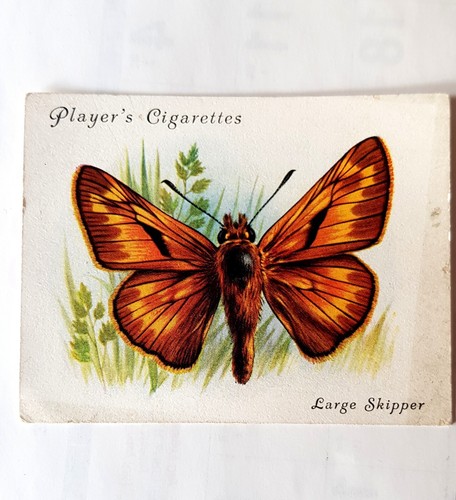 John player large cigarette - john,