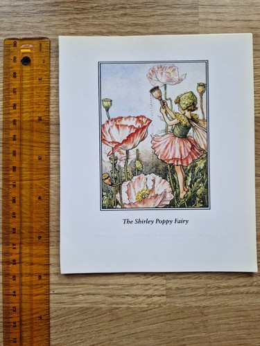 Cicely mary barker the - mary,