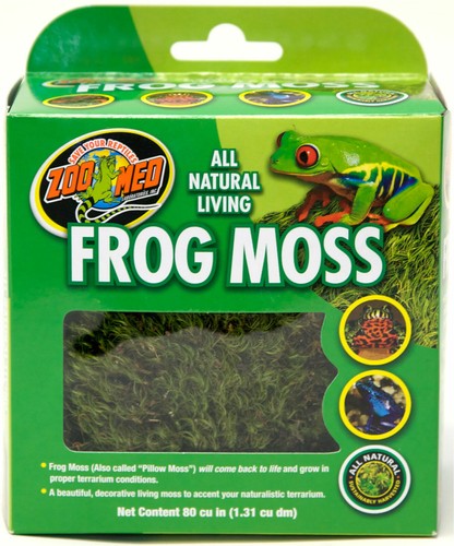 Zoomed natural frog - frog, 1.31l