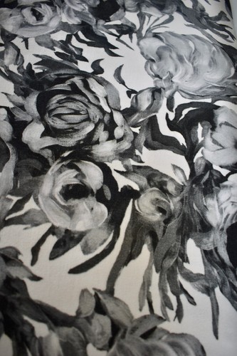 Dramatic black white rose - dramatic,
