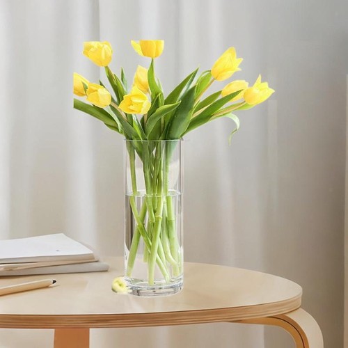 Acrylic cylinder flower vase - acrylic,