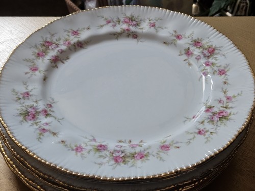 Paragon victoriana rose - paragon,