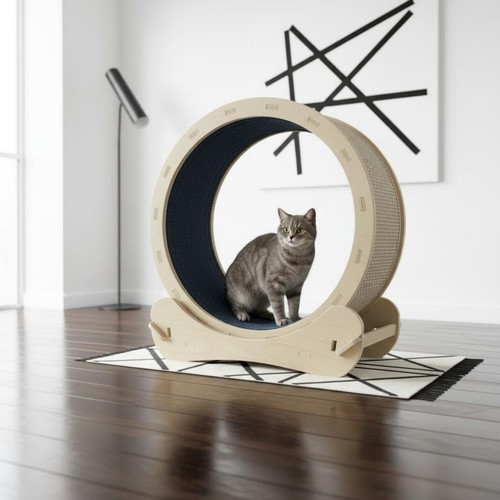 Wooden feline treadmill - feline,