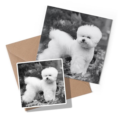 Greeting card sticker - 1,