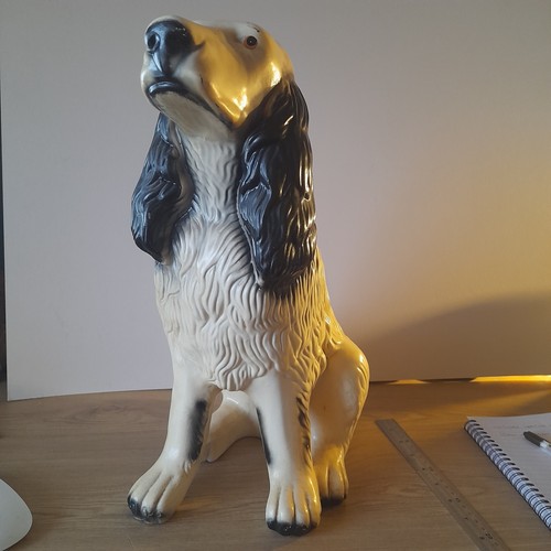 Cocker spaniel large - cocker,