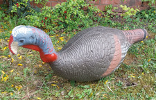 Xpe foam turkey archery - 3d,