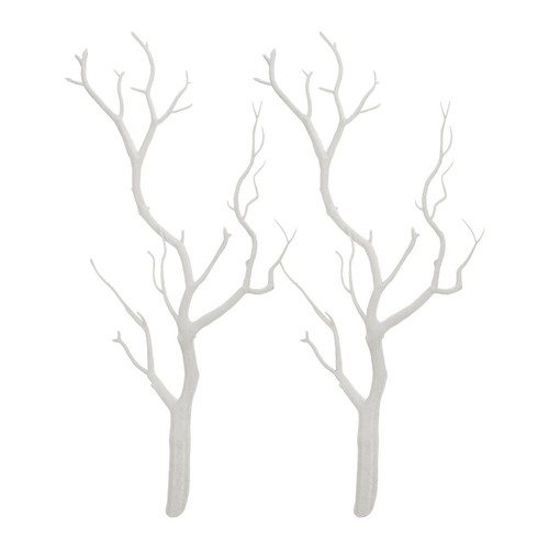 2pcs white birch - birch, tree