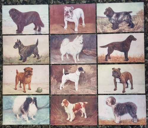 Spratts champion dog - 12,