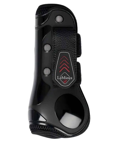 Lemieux derby projump tendon - derby,