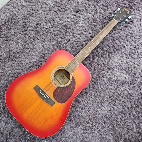 Hohner countryman acoustic - countryman,