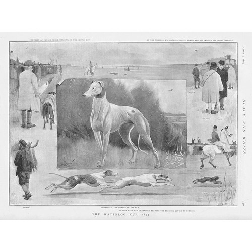 Coursing the waterloo cup 1893 - coursing,